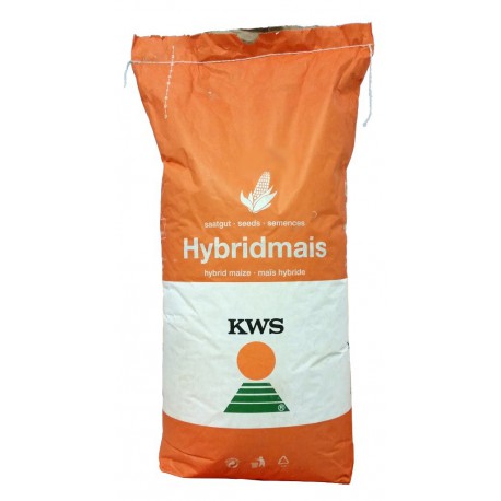 Samanta Porumb KWS SEVERO, FAO 280, grupa pentru Morarit - Sac 50.000 boabe