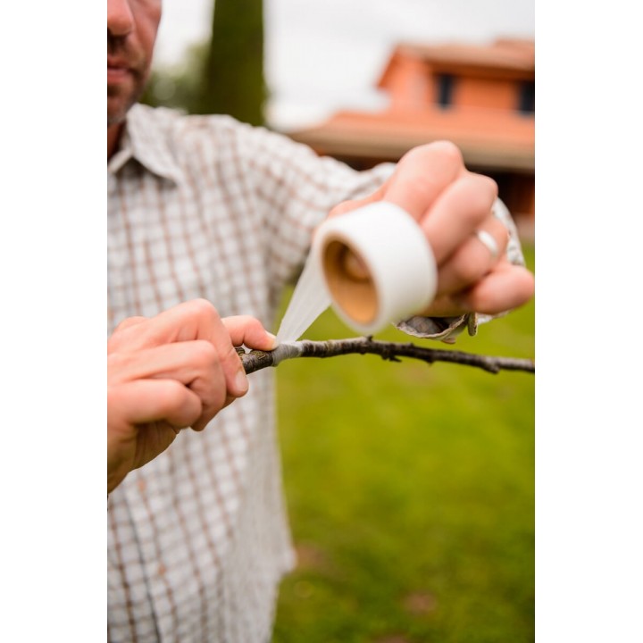 Banda pentru altoit Buddy Tape 25 mm x 5 m (fara perforatii)