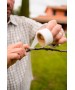 Banda pentru altoit Buddy Tape 25 mm x 5 m (fara perforatii)