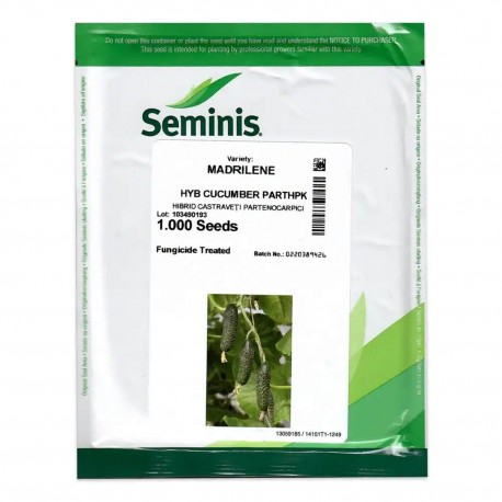 Seminte Castraveti cornichon MADRILENE F1 Seminis - 1.000 seminte