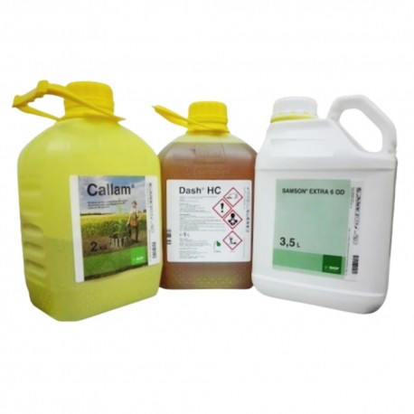 Pachet Porumb REKORD MAX (CALLAM + SAMSON EXTRA 6 OD + DASH HC), BASF - 5 ha