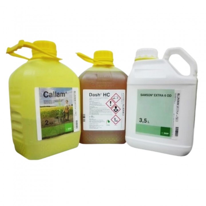 Pachet Porumb REKORD MAX (CALLAM + SAMSON EXTRA 6 OD + DASH HC), BASF - 5 ha
