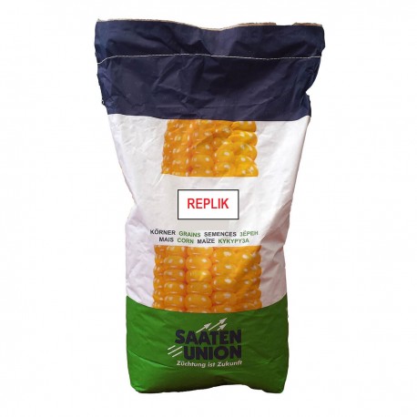 Samanta Porumb REPLIK Saaten Union, FAO 380 - Sac 50.000 boabe