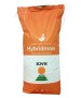 Samanta Porumb KWS ADONISIO, FAO 340, Grupa Plus4Grain - Sac 25.000 boabe