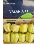 Seminte Ardei gras VALAHIA F1 (AS5 332 F1) Hektar - 100 seminte