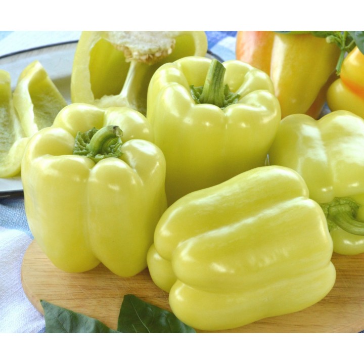 Seminte Ardei gras VALAHIA F1 (AS5 332 F1) Hektar - 500 seminte