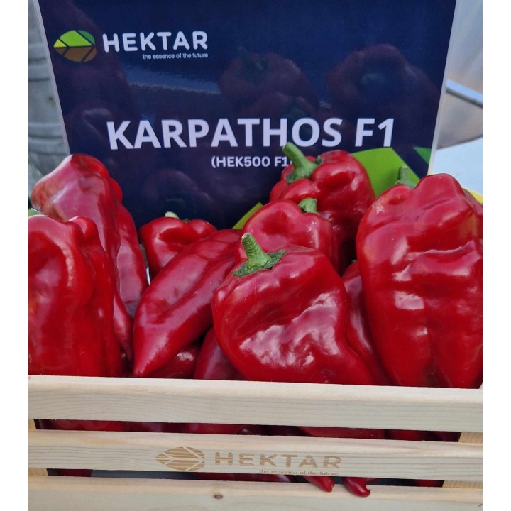 Seminte Ardei Lung Kapia KARPATHOS F1, Hektar - 50 seminte