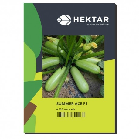 Seminte Dovlecel SUMMER ACE F1 Hektar - 500 seminte