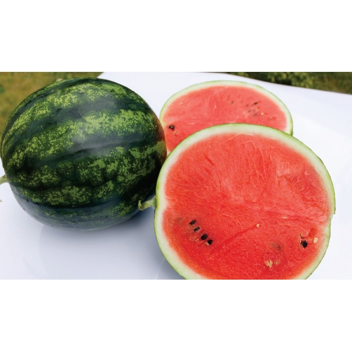 Seminte Pepene verde BUREBISTA F1 Hektar - 50 seminte