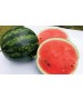 Seminte Pepene verde BUREBISTA F1 Hektar - 50 seminte