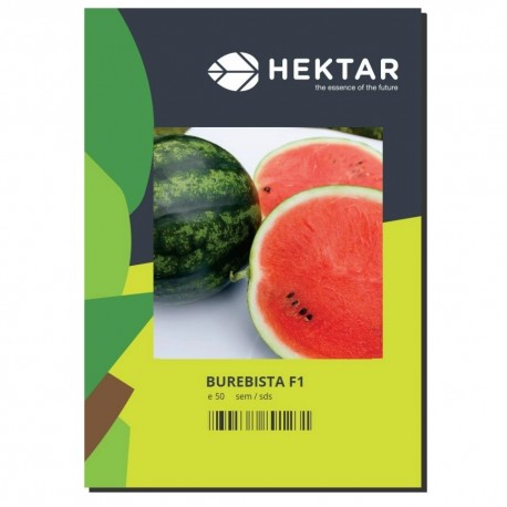 Seminte Pepene verde BUREBISTA F1 Hektar - 50 seminte
