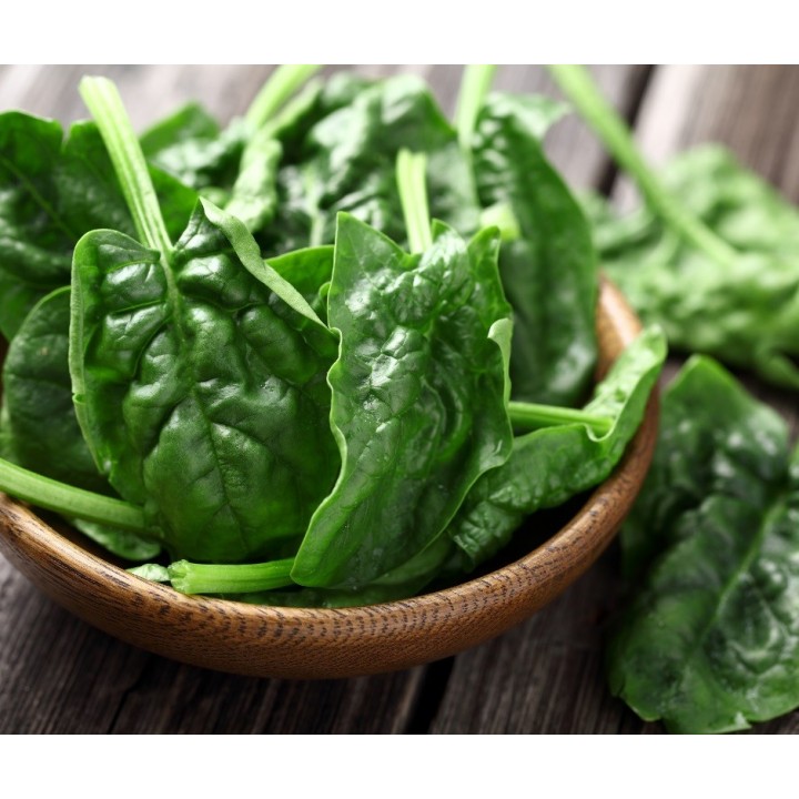 Seminte Spanac MODI F1, Hektar - 5.000 seminte, Timpuriu