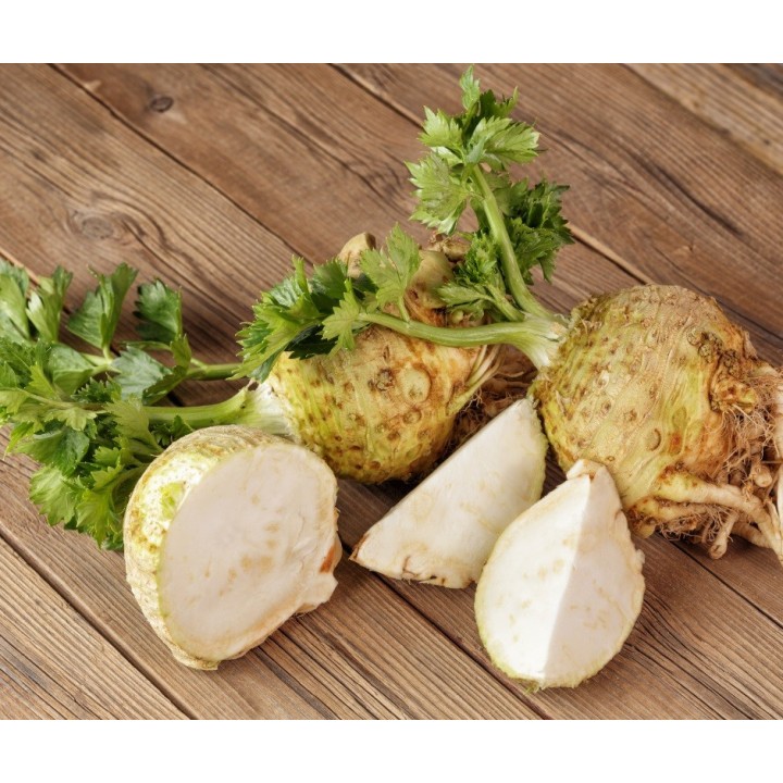 Seminte Telina radacina APOLLO Hektar - 10.000 seminte Seminte Telina radacina APOLLO Hektar - 10.000 seminte