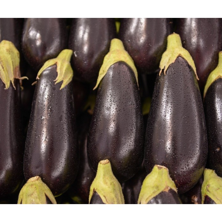 Seminte Vinete MINERVA F1 Hektar - 50 seminte