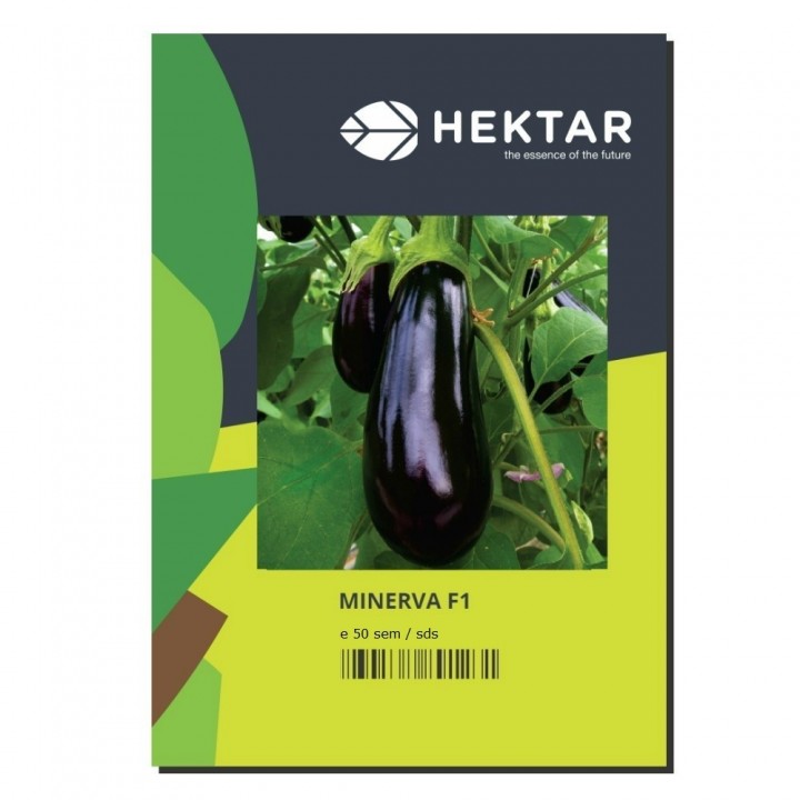 Seminte Vinete MINERVA F1 Hektar - 50 seminte