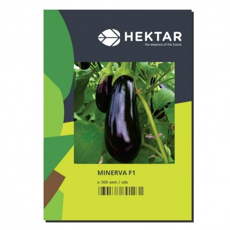 Seminte Vinete MINERVA F1 Hektar - 500 seminte