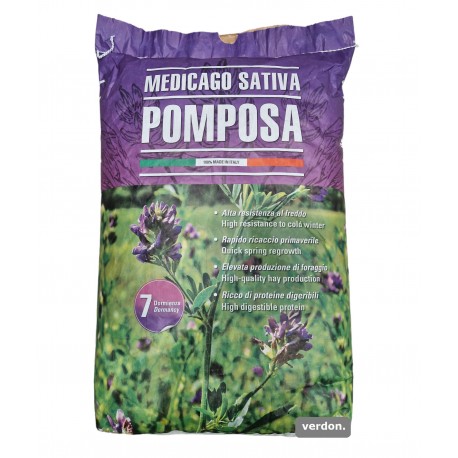 Seminte lucerna Pomposa - 25 kg