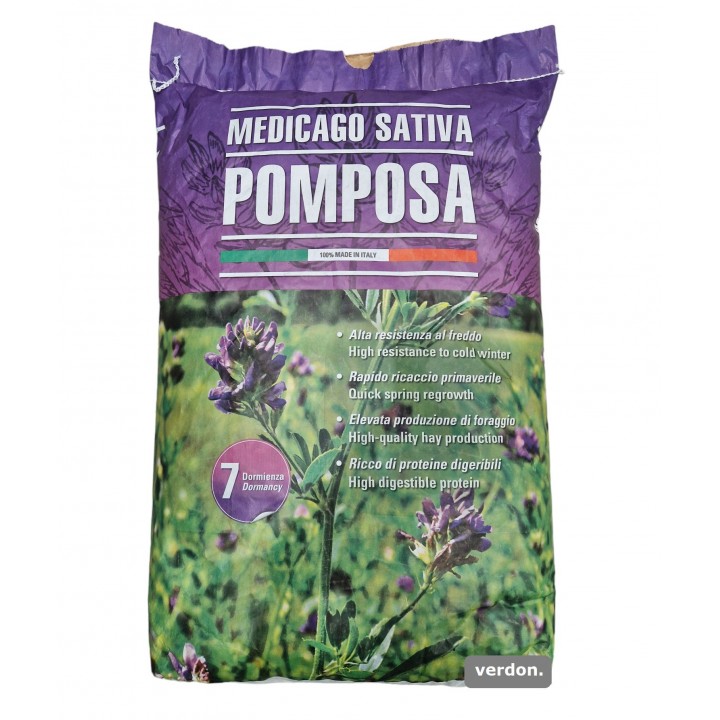 Seminte lucerna Pomposa - 25 kg