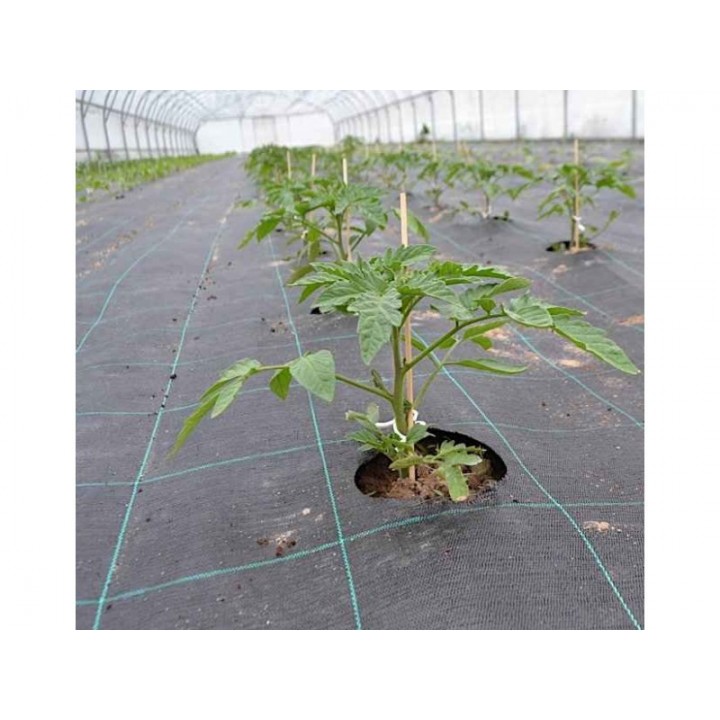 Folie antiburuieni AGROTEXTIL, 100 g/mp, Tratata UV, 6 Sezoane - Rola 1,65 x 100 m Folie antiburuieni AGROTEXTIL, 100 g/mp, Tratata UV, 6 Sezoane - Rola 1,65 x 100 m