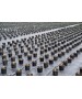 Folie antiburuieni AGROTEXTIL, 100 g/mp, Tratata UV, 6 Sezoane - Rola 1,65 x 100 m