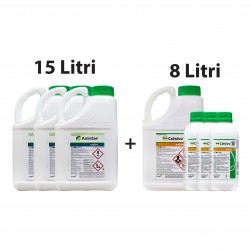 Pachet Cereale Paioase AMISTAR PRIME PACK - 20 ha