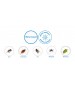 Insecticid DRAKER 10.2, Concentrat - 50 ml, Muste, Tantari, Gandaci, Capuse, Furnici, Paianjeni