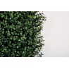 Perete verde artificial BUXUS, 100 cm x 100 cm, Nortene
