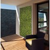 Perete verde artificial BUXUS, 100 cm x 100 cm, Nortene