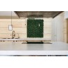 Perete verde artificial BUXUS, 100 cm x 100 cm, Nortene