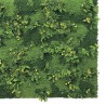 Perete verde artificial TUNDRA, 100 cm x 100 cm, Nortene
