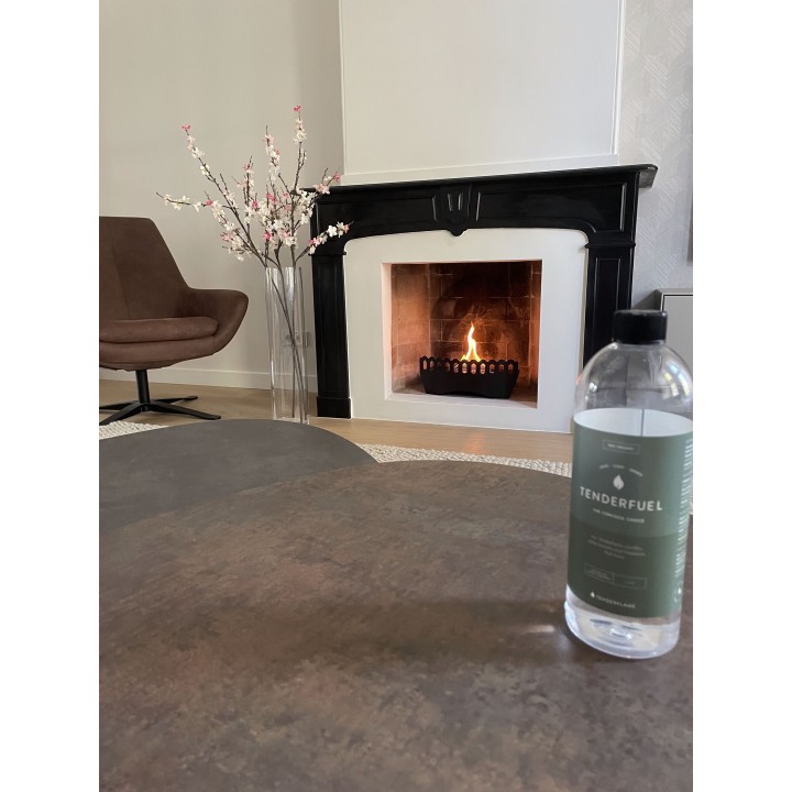 Insertie semineu TenderFlame CLASSIC