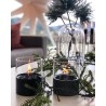 Pachet Lumanare ambientala TenderFlame LILLY 10 BLACK GLASS + TenderFuel 500 ml + Bricheta