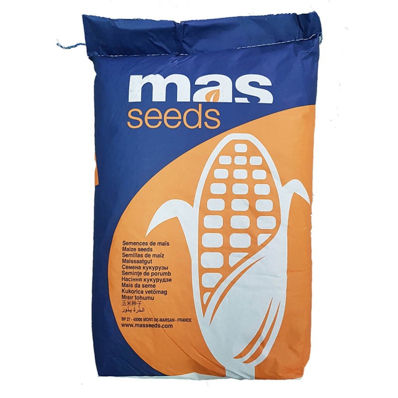 Samanta Porumb MAS 335I, Mas Seeds, FAO 330, Semitimpuriu - Sac 50.000 boabe