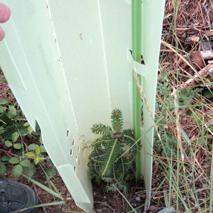 Arac fibra sticla WitaPro 14 mm x 150 cm - verde Arac fibra sticla WitaPro 14 mm x 150 cm - verde