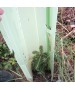 Arac fibra sticla WitaPro 14 mm x 150 cm - verde