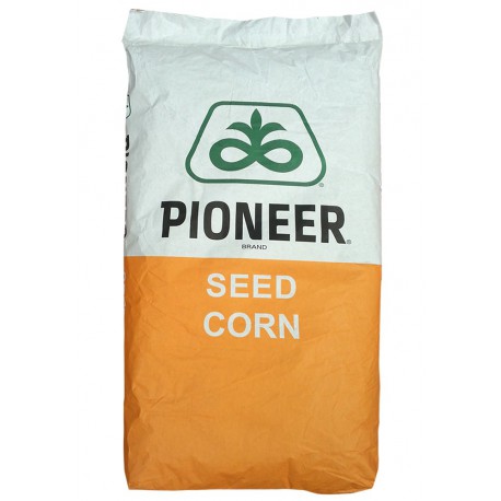 Seminte porumb Pioneer P9911 Aquamax - 80.000 boabe