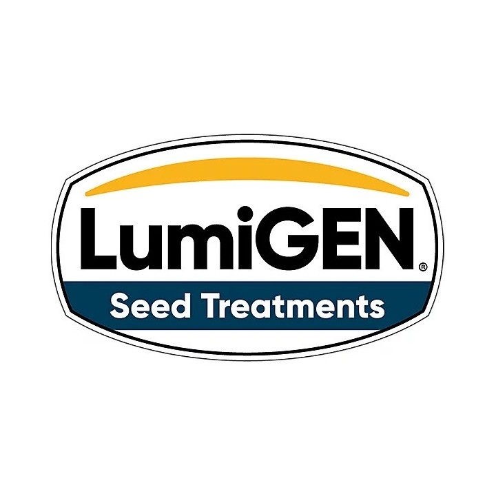 Seminte porumb Pioneer P9911 Aquamax - 80.000 boabe