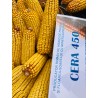 Samanta Porumb CERA 450, Genetica Fundulea, FAO 450, Tardiv - Sac 50.000 boabe