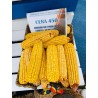 Samanta Porumb CERA 450, Genetica Fundulea, FAO 450, Tardiv - Sac 50.000 boabe