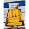 Samanta Porumb EXPERT 410, Genetica Fundulea, FAO 410, Semi-tardiv - Sac 50.000 boabe