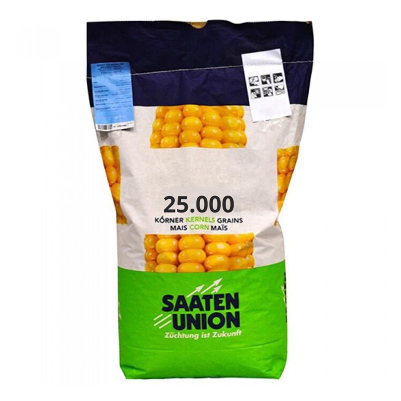 Samanta Porumb OSSK 396 Saaten Union, FAO 380, 25.000 boabe