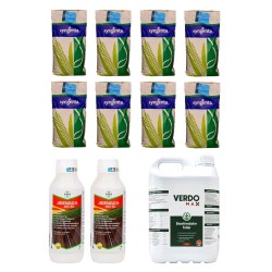 Pachet SMART-MIX 98 - Samanta porumb SY ZEPHIR Syngenta 8 saci + ADENGO 465 SC - 2 L + VERDOMAX 5 L, Suprafata 5 Ha