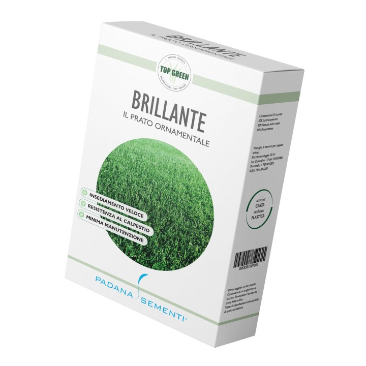 Seminte Gazon Padana BRILLANTE - 1 kg, PREMIUM