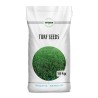 Seminte Gazon Padana BRILLANTE - 10 kg