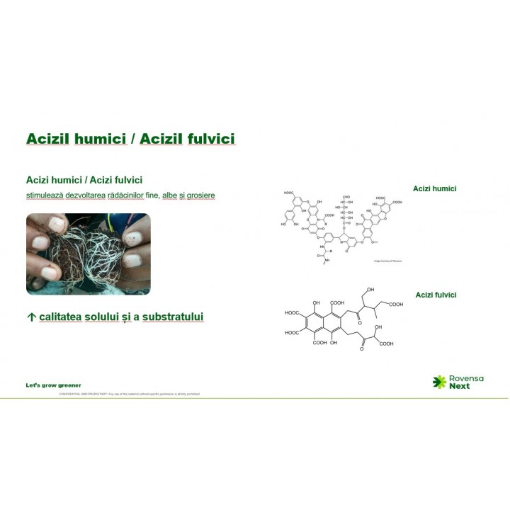 Stimulator de inradacinare TURBO ROOT - 1 Litru