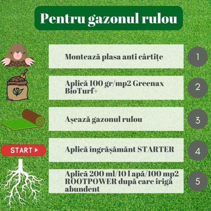 Ingrasamant lichid gazon Greenax ROOTPOWER - 1 Litru