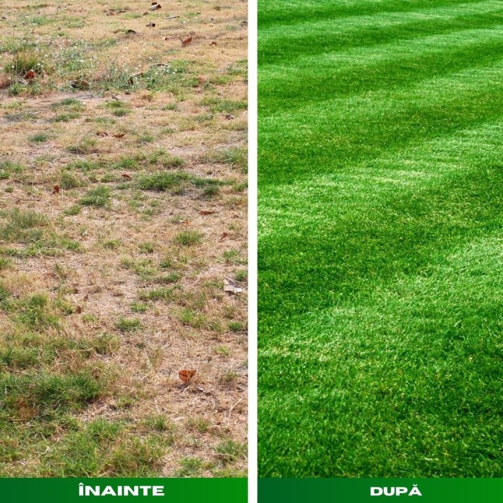 Ingrasamant lichid gazon Greenax GREENBOOST - 1 Litru