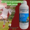 Ingrasamant lichid gazon Greenax STRESS CONTROL - 1 Litru
