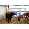 Minge in forma de bila pentru hranire Kerbl, albastra - vitei si vaci tinere