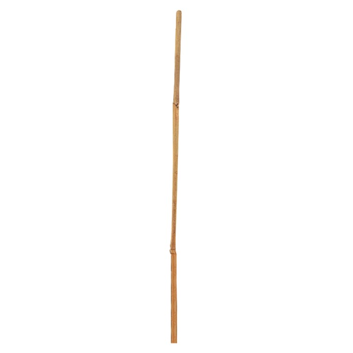 Tutori BAMBUS Nortene, 12-14 mm, 180 cm - set 6 buc. Tutori BAMBUS Nortene, 12-14 mm, 180 cm - set 6 buc.
